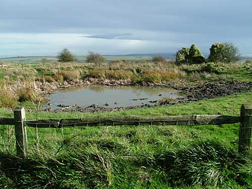 dewpond